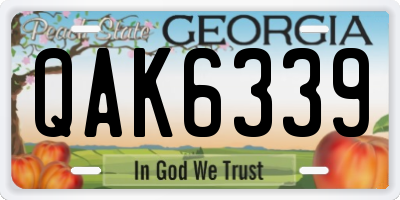 GA license plate QAK6339