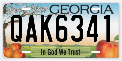 GA license plate QAK6341