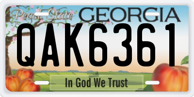 GA license plate QAK6361