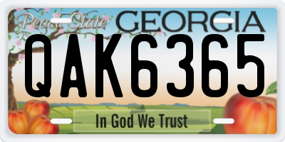 GA license plate QAK6365