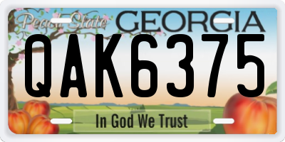 GA license plate QAK6375