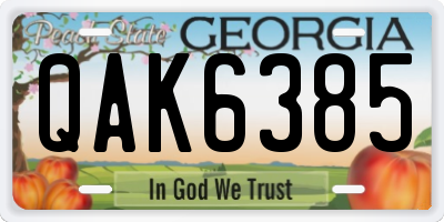 GA license plate QAK6385
