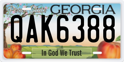 GA license plate QAK6388