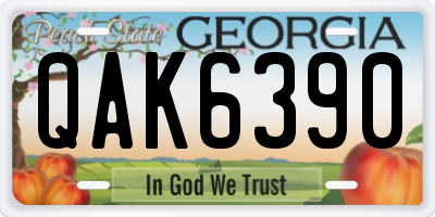 GA license plate QAK6390