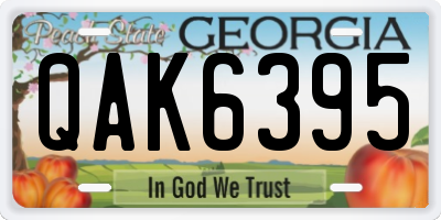 GA license plate QAK6395