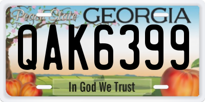 GA license plate QAK6399