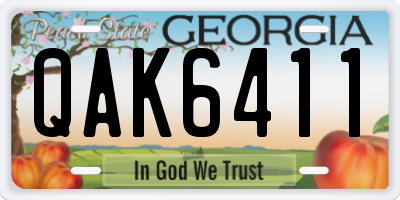 GA license plate QAK6411