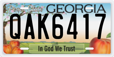 GA license plate QAK6417