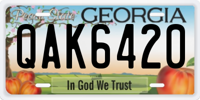 GA license plate QAK6420