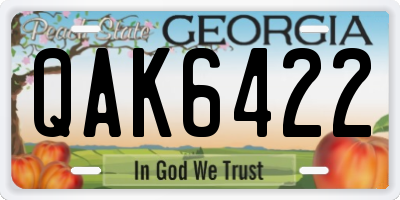 GA license plate QAK6422
