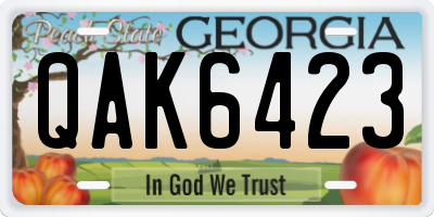 GA license plate QAK6423