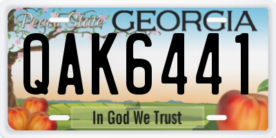 GA license plate QAK6441
