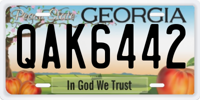 GA license plate QAK6442