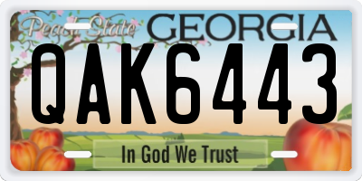 GA license plate QAK6443
