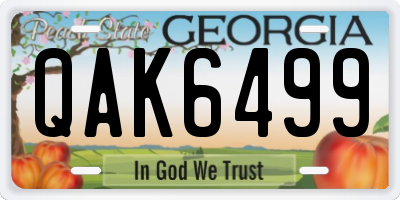 GA license plate QAK6499
