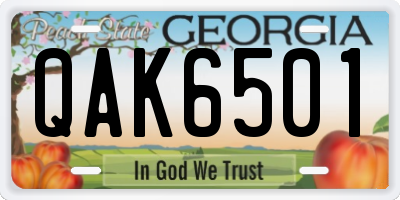 GA license plate QAK6501