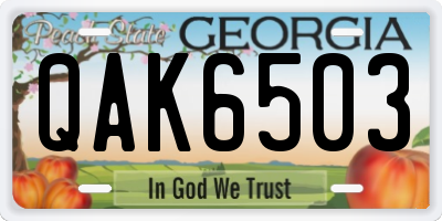 GA license plate QAK6503