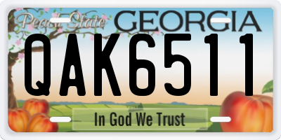 GA license plate QAK6511