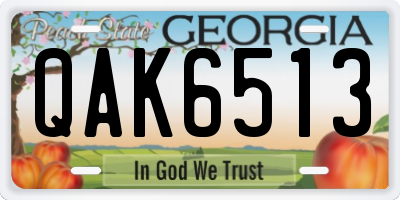 GA license plate QAK6513