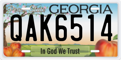 GA license plate QAK6514