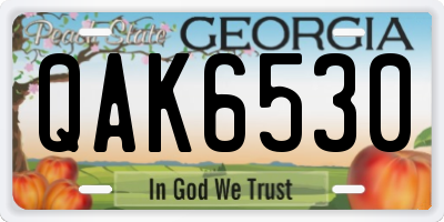 GA license plate QAK6530