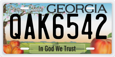 GA license plate QAK6542