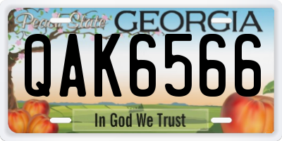 GA license plate QAK6566
