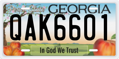 GA license plate QAK6601