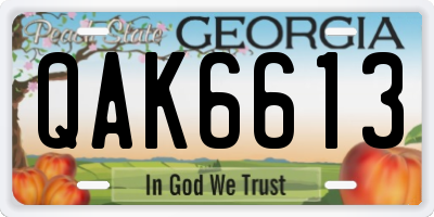 GA license plate QAK6613