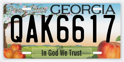 GA license plate QAK6617
