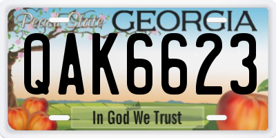 GA license plate QAK6623