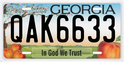 GA license plate QAK6633
