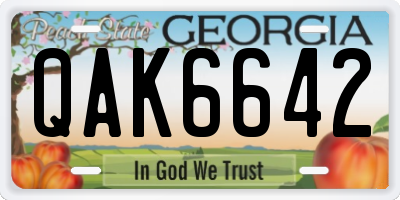 GA license plate QAK6642