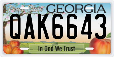 GA license plate QAK6643