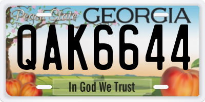 GA license plate QAK6644