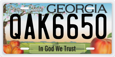GA license plate QAK6650