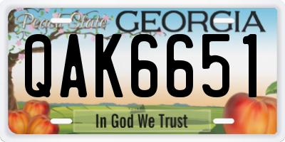 GA license plate QAK6651