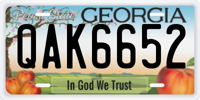 GA license plate QAK6652