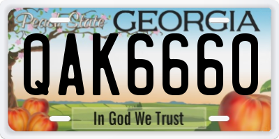 GA license plate QAK6660