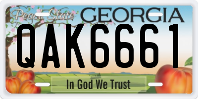GA license plate QAK6661