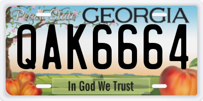 GA license plate QAK6664