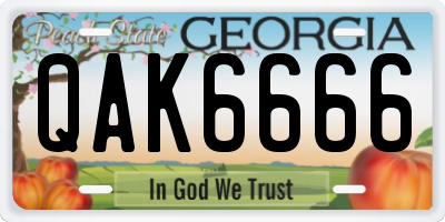 GA license plate QAK6666