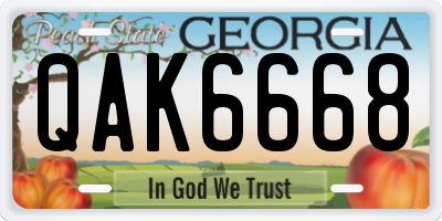 GA license plate QAK6668