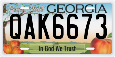 GA license plate QAK6673