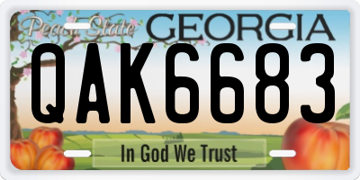 GA license plate QAK6683