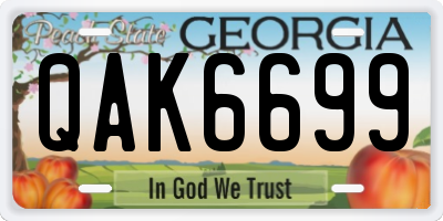 GA license plate QAK6699
