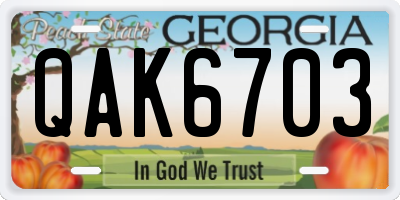 GA license plate QAK6703