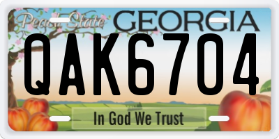 GA license plate QAK6704