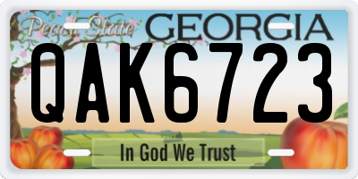 GA license plate QAK6723