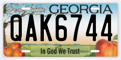 GA license plate QAK6744